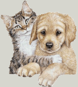 Állatok-Kutyák animált gif képek - Képeslapküldés - e-kepeslap.com