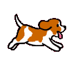 Kutyk animlt GIF