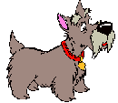 Kutyk animlt GIF