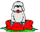 Kutyk animlt GIF