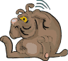 Kutyk animlt GIF