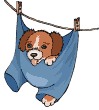 Kutyk animlt GIF