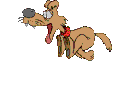 Kutyk animlt GIF