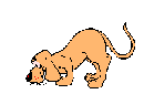 Kutyk animlt GIF