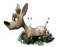 Kutyk animlt GIF