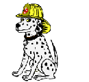 Kutyk animlt GIF