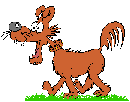 Kutyk animlt GIF