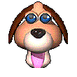 Kutyk animlt GIF