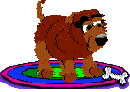 Kutyk animlt GIF