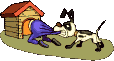 Kutyk animlt GIF
