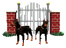 Kutyk animlt GIF