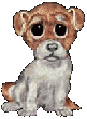 Kutyk animlt GIF