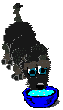 Kutyk animlt GIF