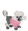 Kutyk animlt GIF