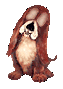 Kutyk animlt GIF