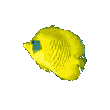 Halak-Delfinek anim�lt GIF