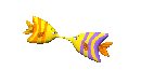 Halak-Delfinek anim�lt GIF