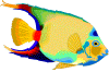 Halak-Delfinek anim�lt GIF