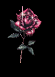 Vir�gok anim�lt GIF