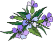 Vir�gok anim�lt GIF