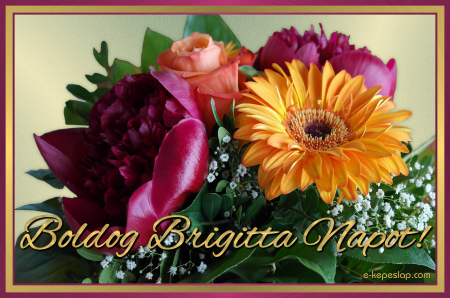 Kpeslap Brigitta nvnapra
