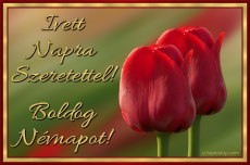 Ivett nvnapi kp