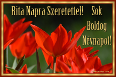 Kpeslap Rita napra