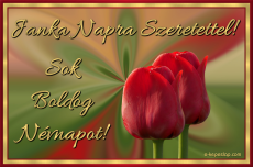 Janka nvnapi kp