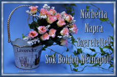 Norberta nvnapi kpeslap