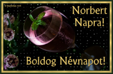 Norbert nvnapi kp