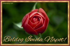 Imola nvnapi kpeslap