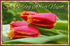 Kpeslap Ibolya napra