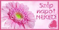Szp napod Neked