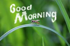 J reggelt - Good Morning