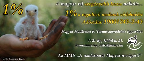 Kpeslapklds: Madarak 1872 kpeslap.