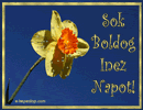 N�vre sz�l� k�peslap, Inez n�vnapra. Sok boldog Inez napot