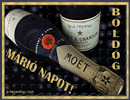 N�vre sz�l�, k�peslap M�ri� napra. Boldog M�ri� n�vnapot.