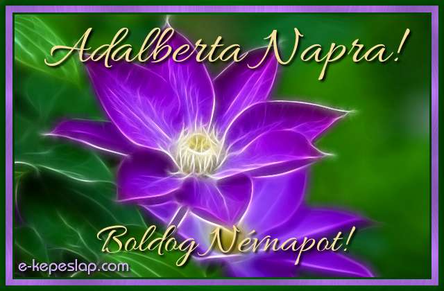 Adalberta n�vre sz�l� k�peslap