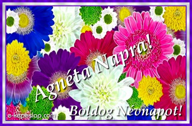 Agnta dvzllap