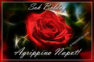 Agrippna nvre szl kpeslapok