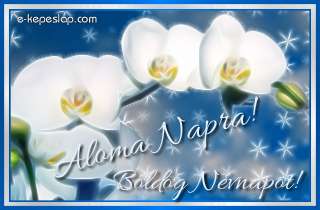 Nvnapi kpeslap Aloma nvnapra fehr orchideval s szemlyre szl ksznt felirattal.