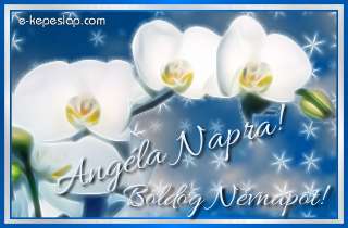 Angla nvre szl kpeslapok