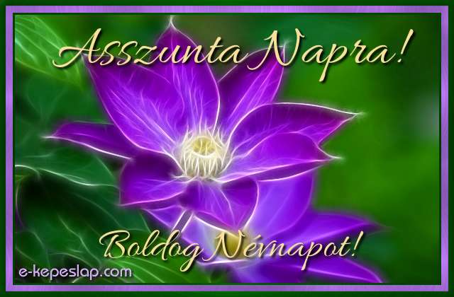 K�peslap Asszunta n�vnapra, k�l�nleges f�nyhat�s� lila vir�ggal, boldog n�vnapot felirattal.