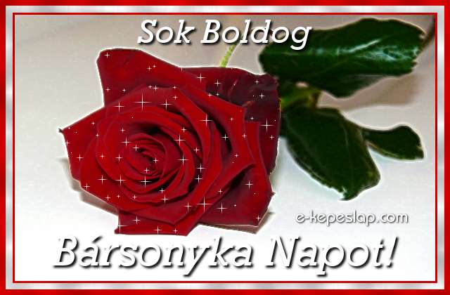 Brsonyka nvre szl kpeslap, csillog vrs rzsaszllal s ksznt felirattal.