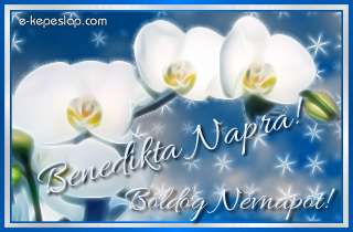 Nvnapi kpeslap Benedikta nvnapra fehr orchideval s szemlyre szl ksznt felirattal.