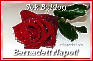 Bernadett nvre szl kpeslap, csillog vrs rzsaszllal s ksznt felirattal.
