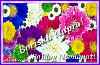 Sznes, virgmints kpeslap nvre szl ksznt felirattal, Boriska nvnapra.