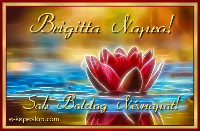 Brigitta nvre szl kpeslap, Brigitta nvnapra, gynyr absztrakt vzililiom kppel, boldog nvnapot felirattal, arany kerettel.
