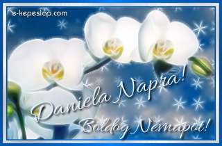 Nvnapi kpeslap Daniela nvnapra fehr orchideval s szemlyre szl ksznt felirattal.