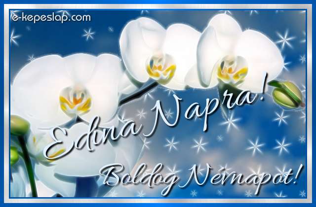 Nvnapi kpeslap Edina nvnapra fehr orchideval s szemlyre szl ksznt felirattal.